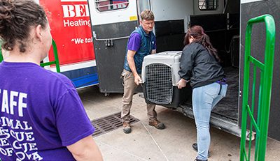 Rescue-Ride-Relocation-Fund