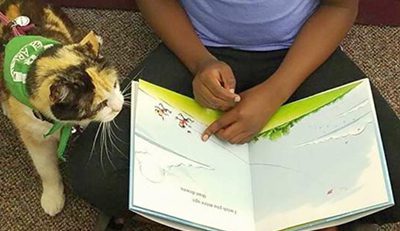 reading to therapy cat